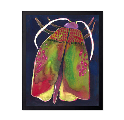 Colorful Moth