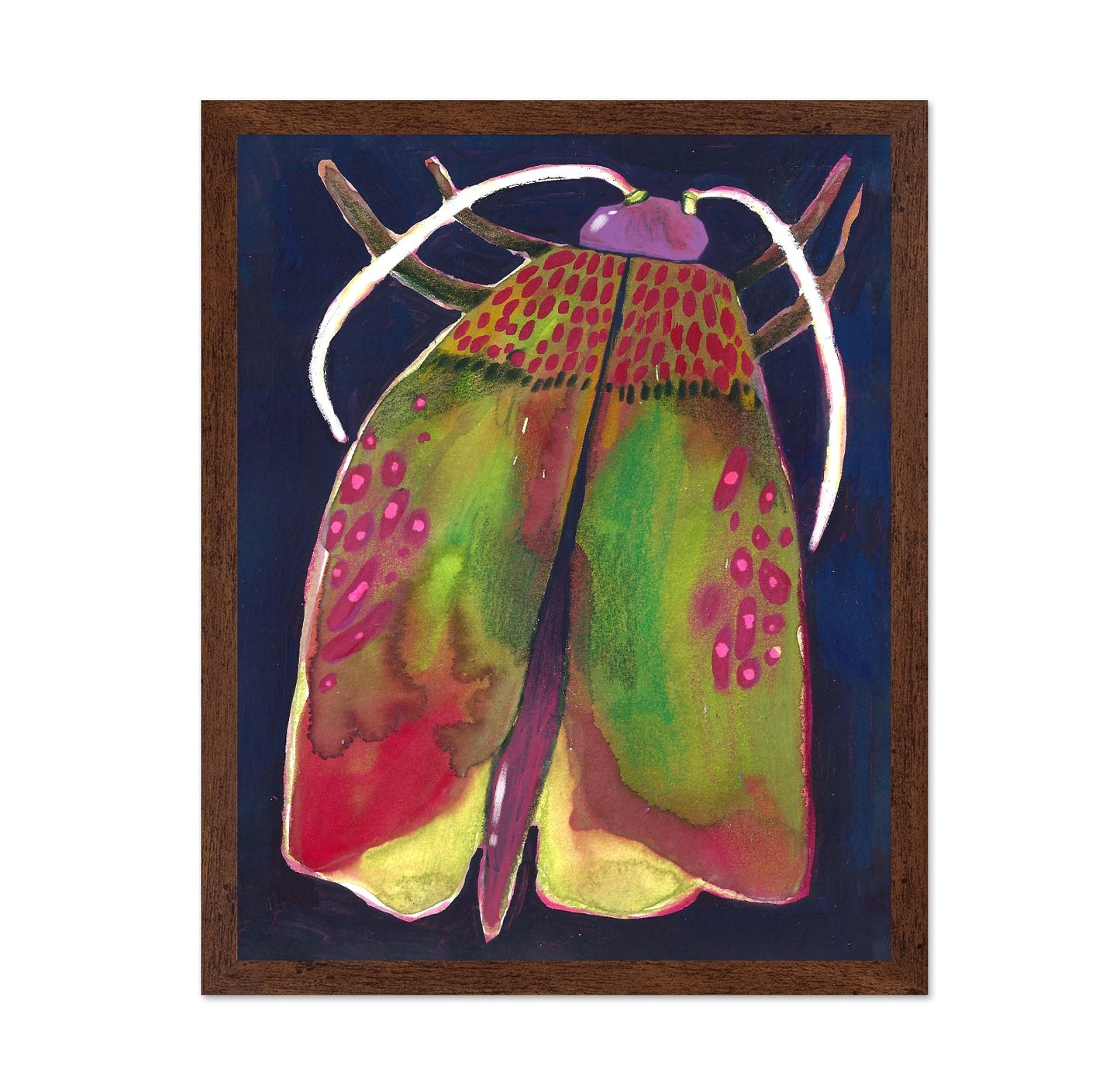 Colorful Moth