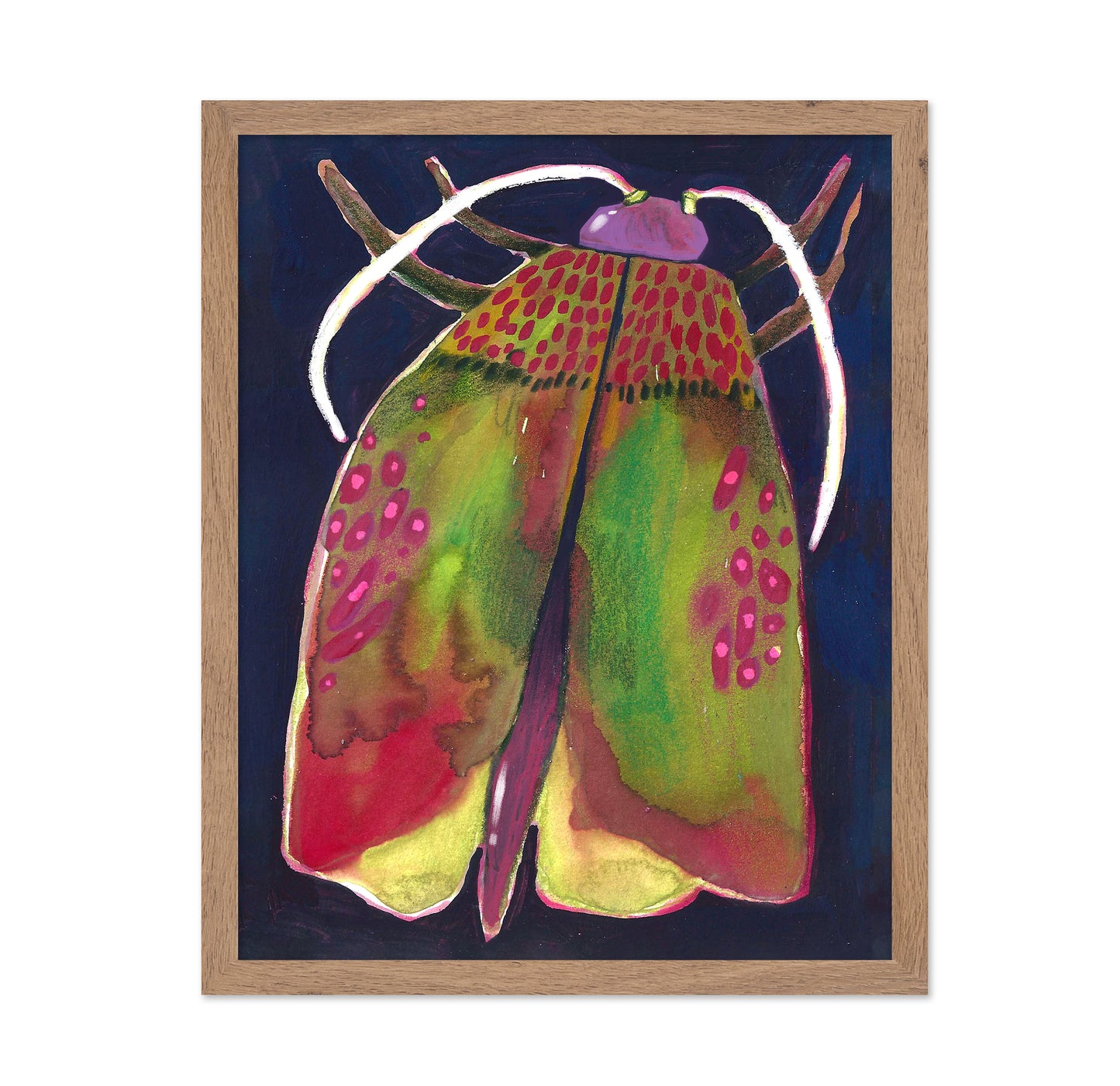 Colorful Moth
