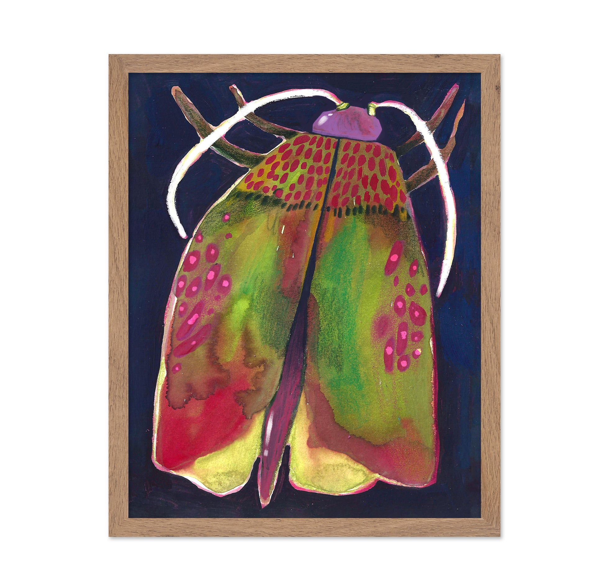 Colorful Moth