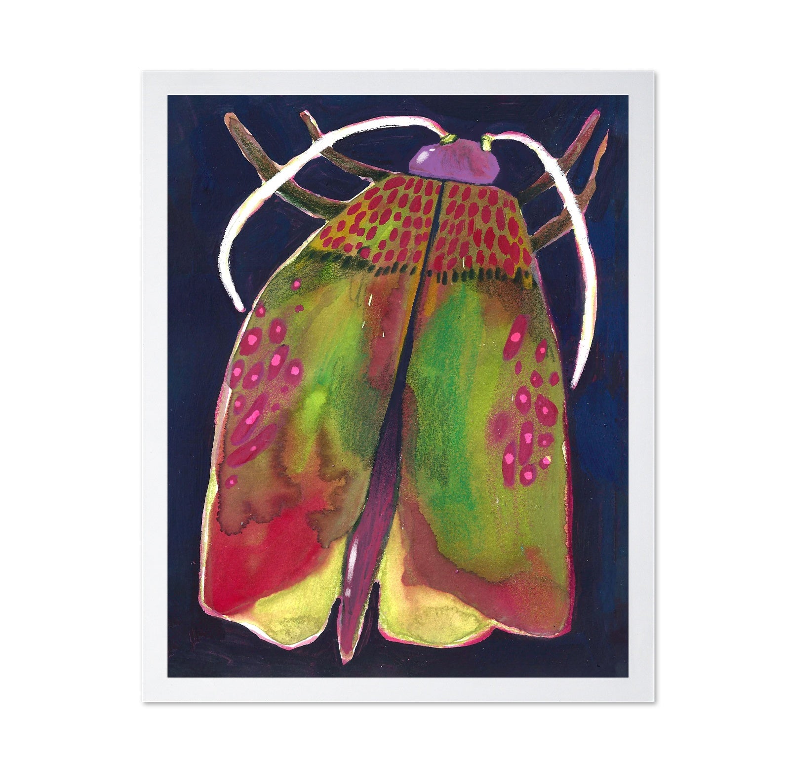 Colorful Moth