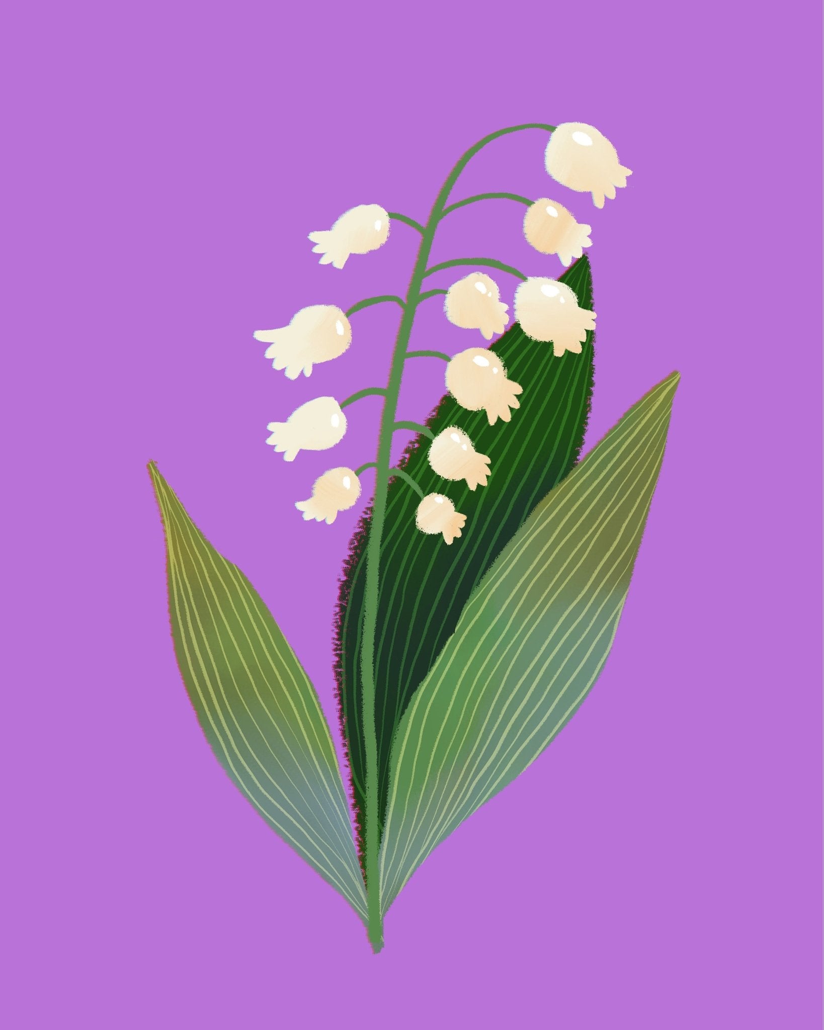 Valley Lily Bloom