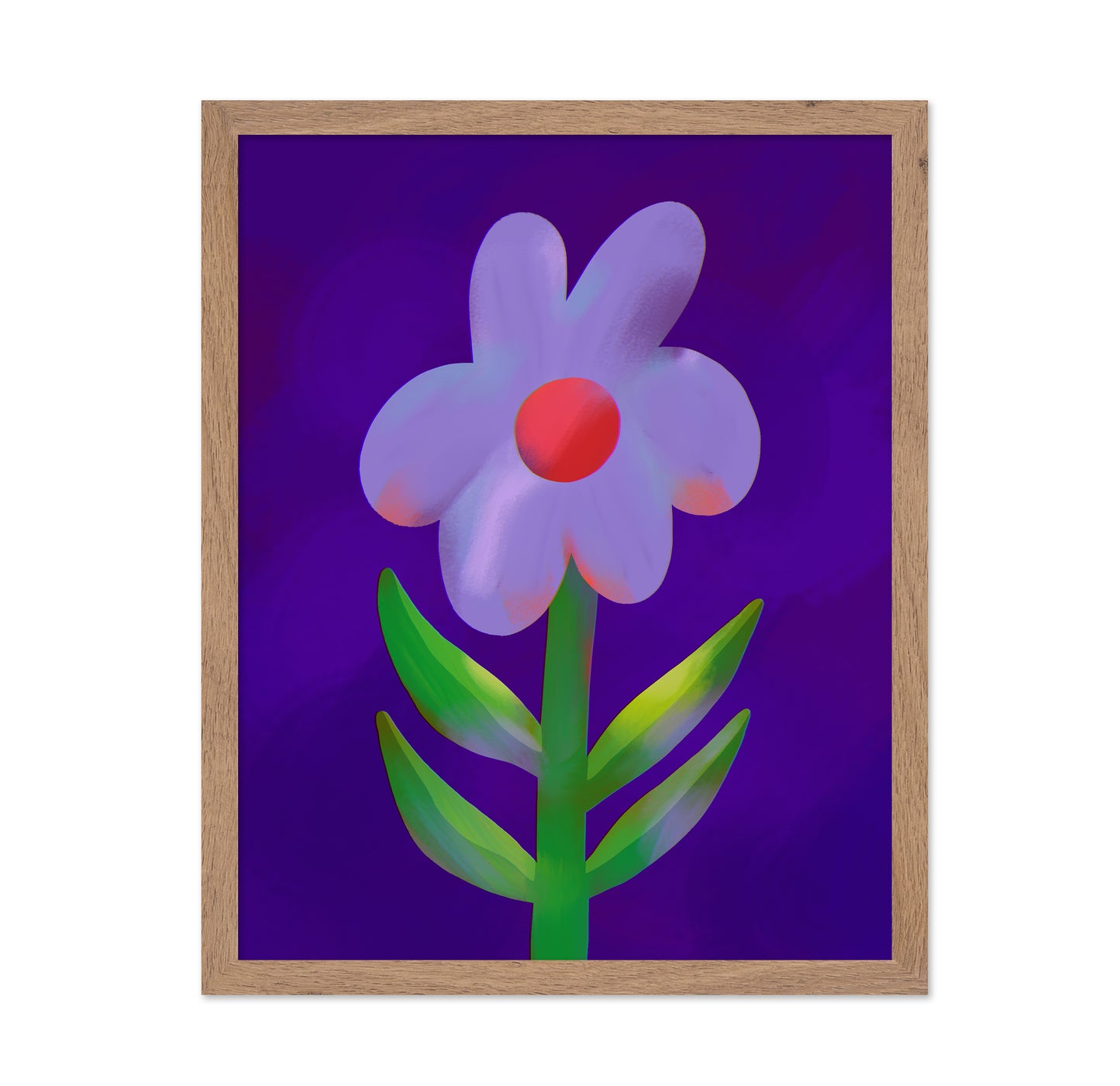 Vibrant Daisy