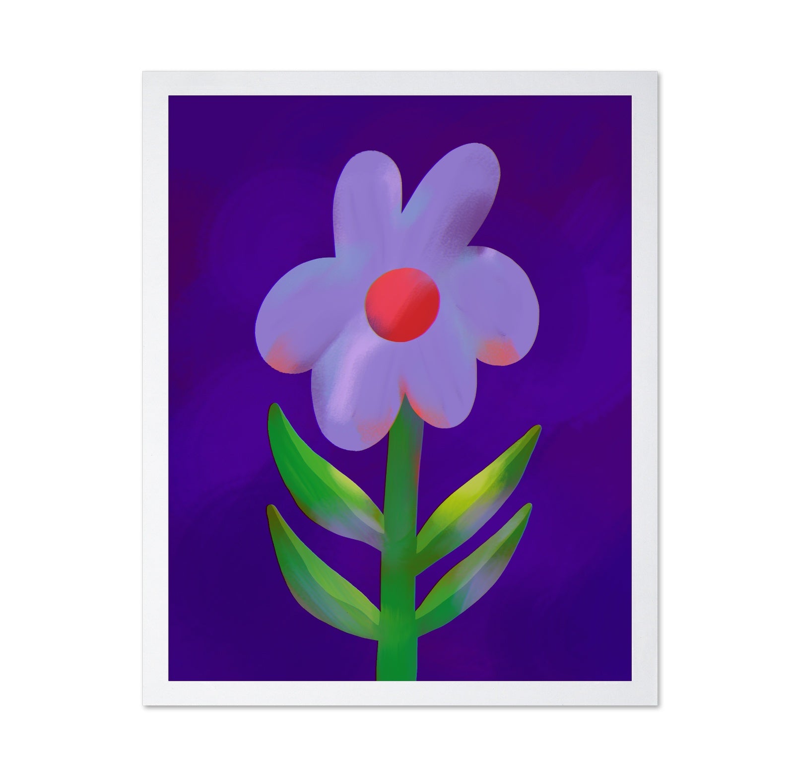 Vibrant Daisy