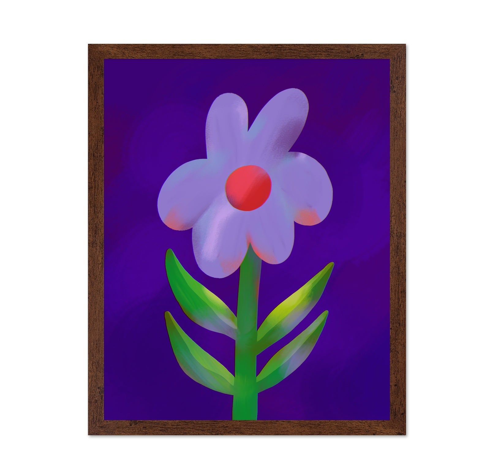 Vibrant Daisy