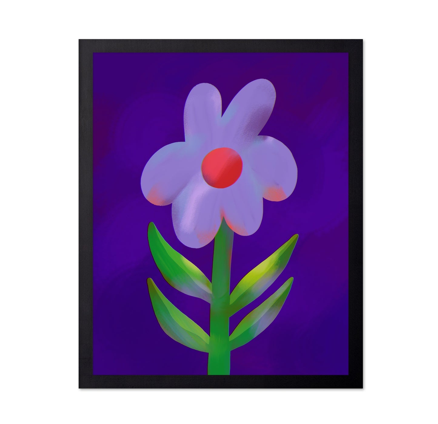 Vibrant Daisy