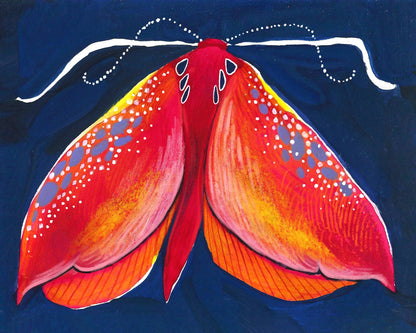Crimson Moth