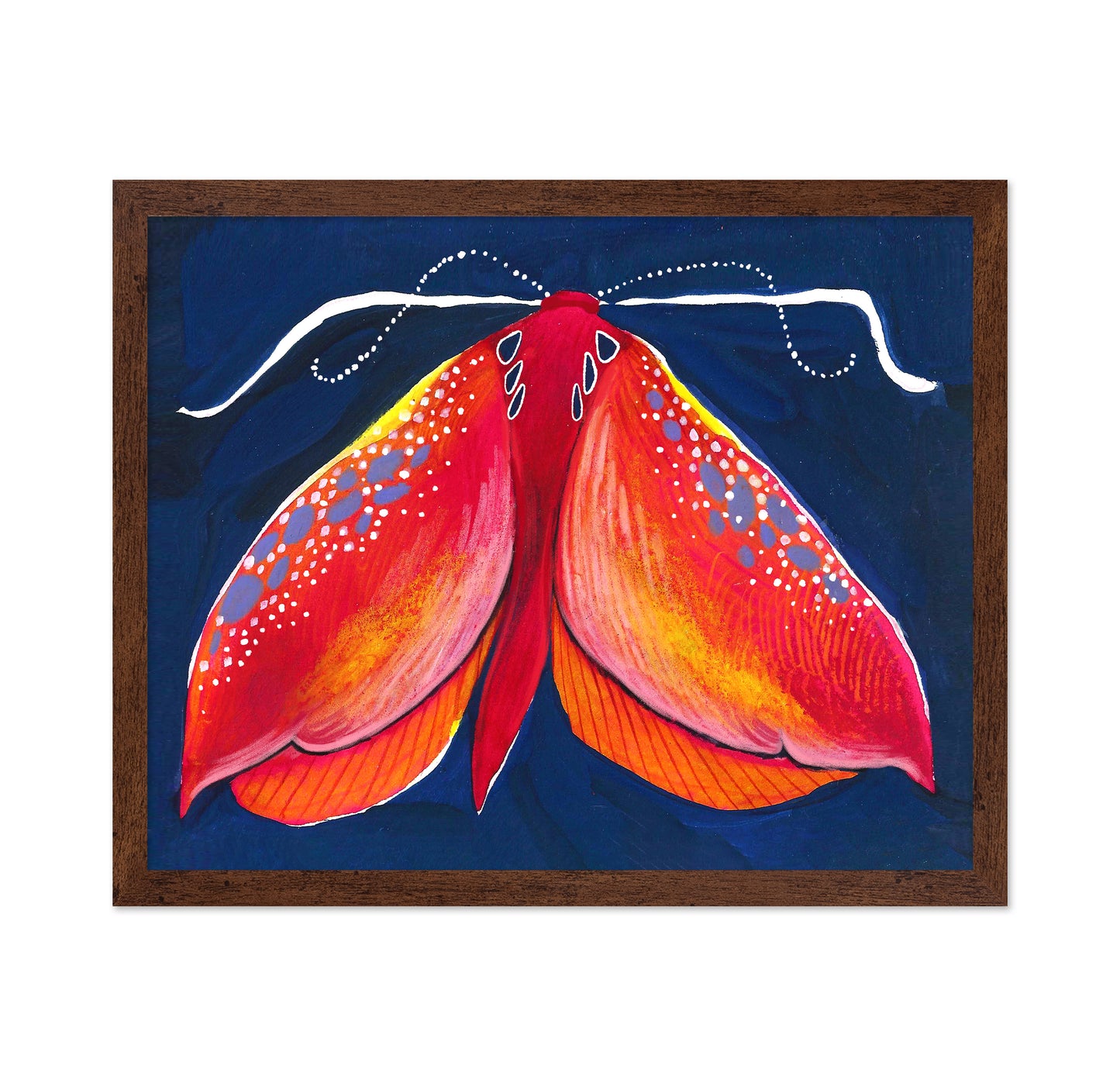 Crimson Moth
