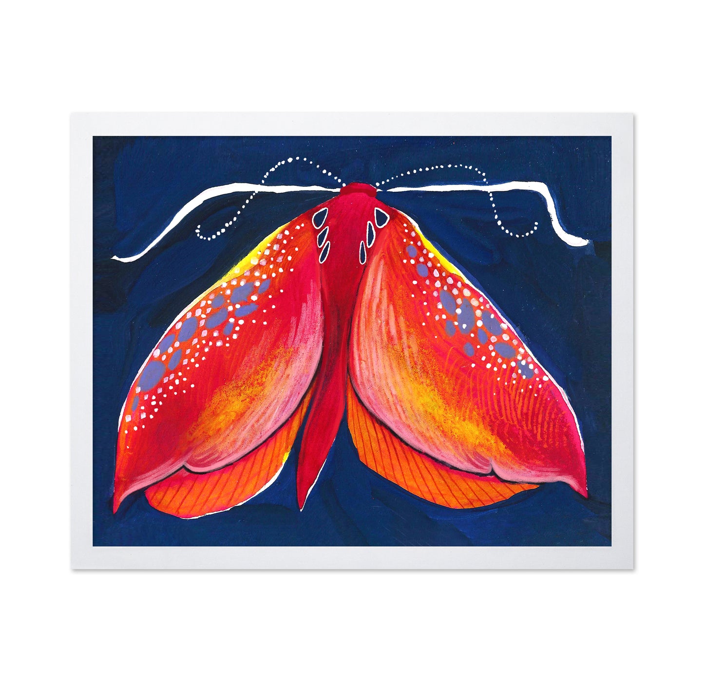 Crimson Moth