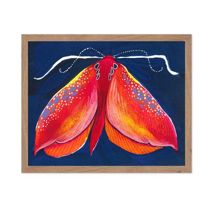 Crimson Moth