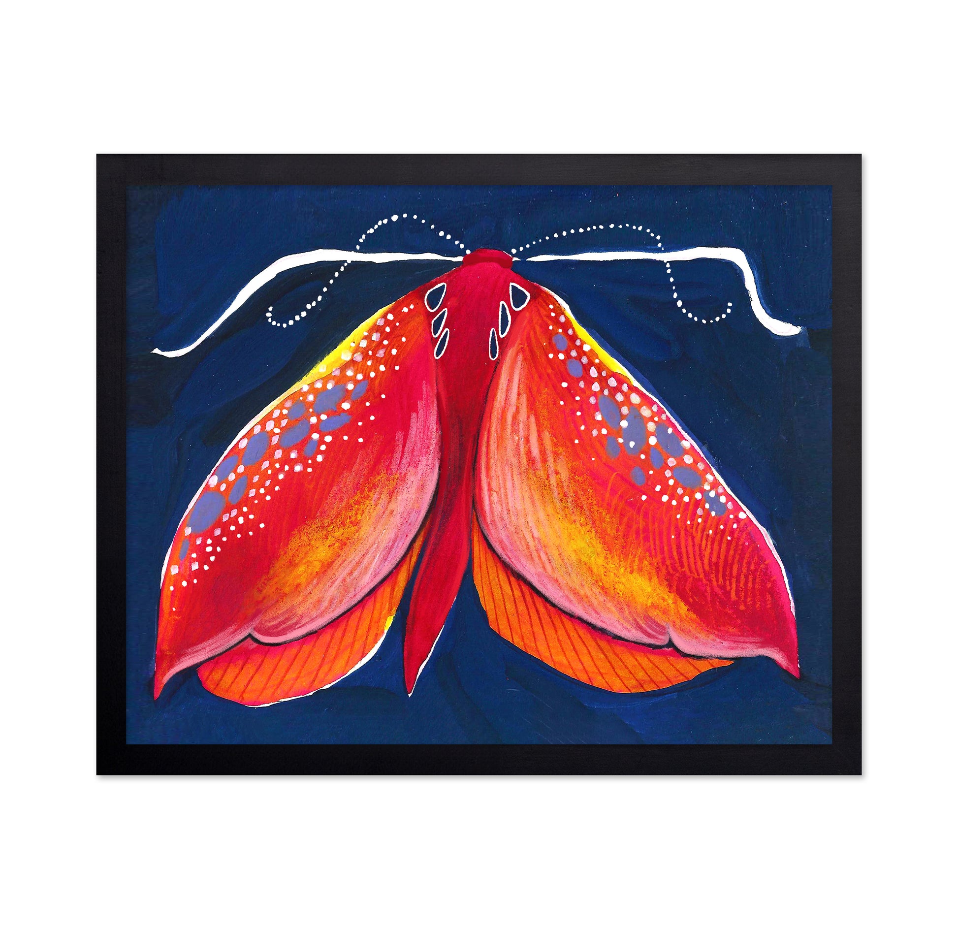 Crimson Moth