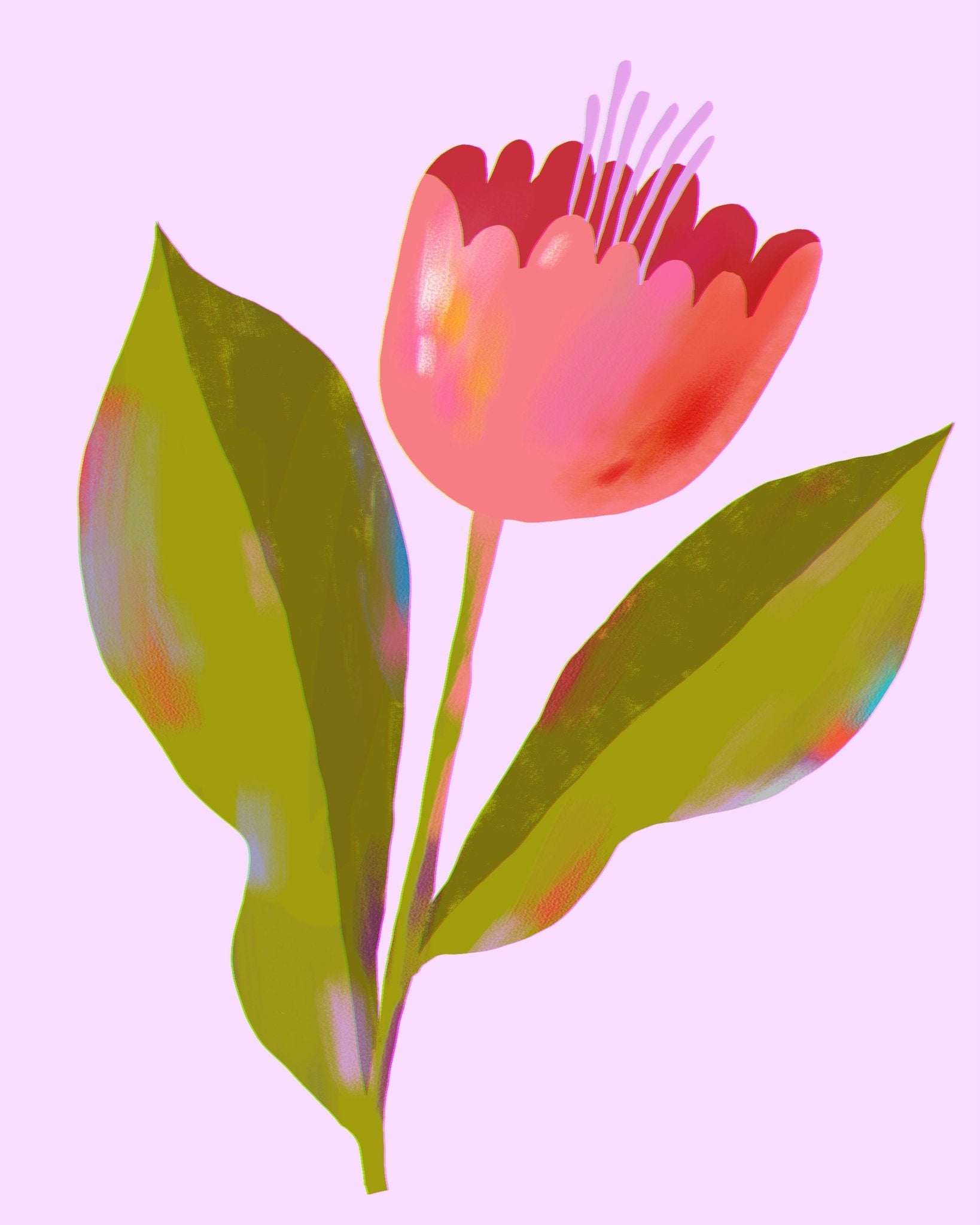 Pink Blossom Stem