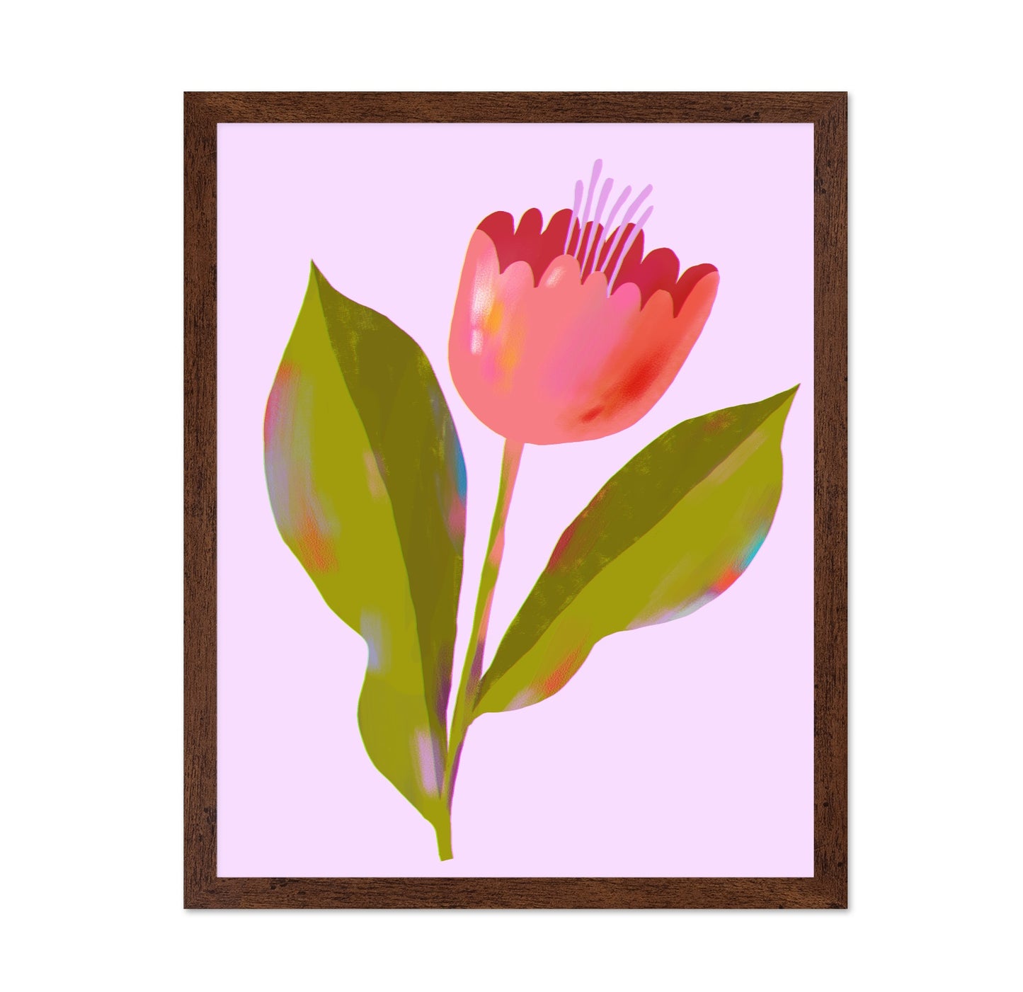 Pink Blossom Stem