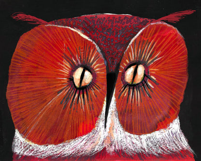 Title: Red Owl Gaze