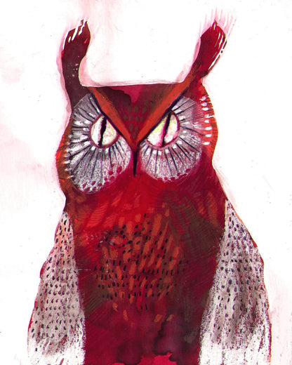 Crimson Owl Stare