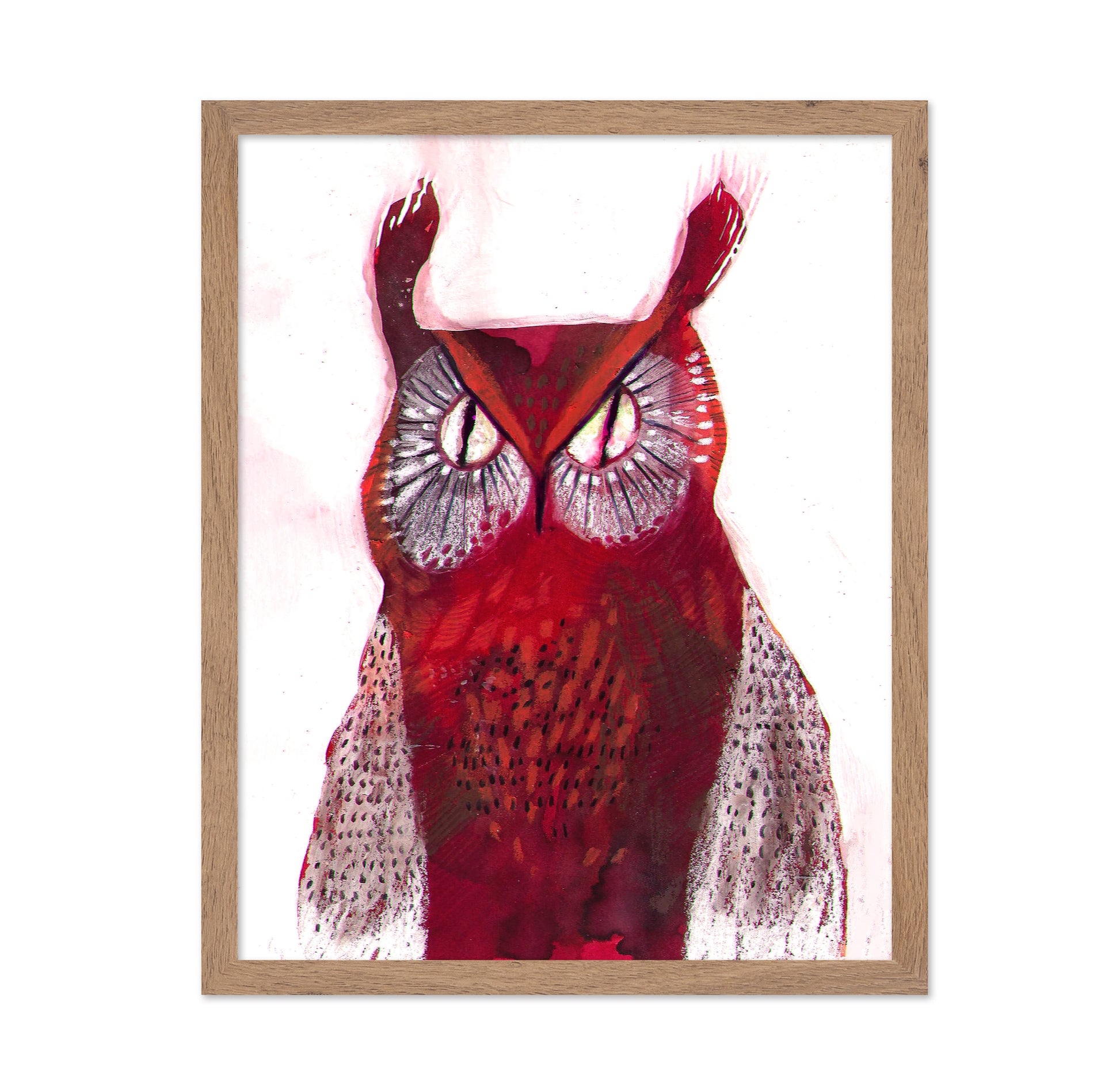 Crimson Owl Stare
