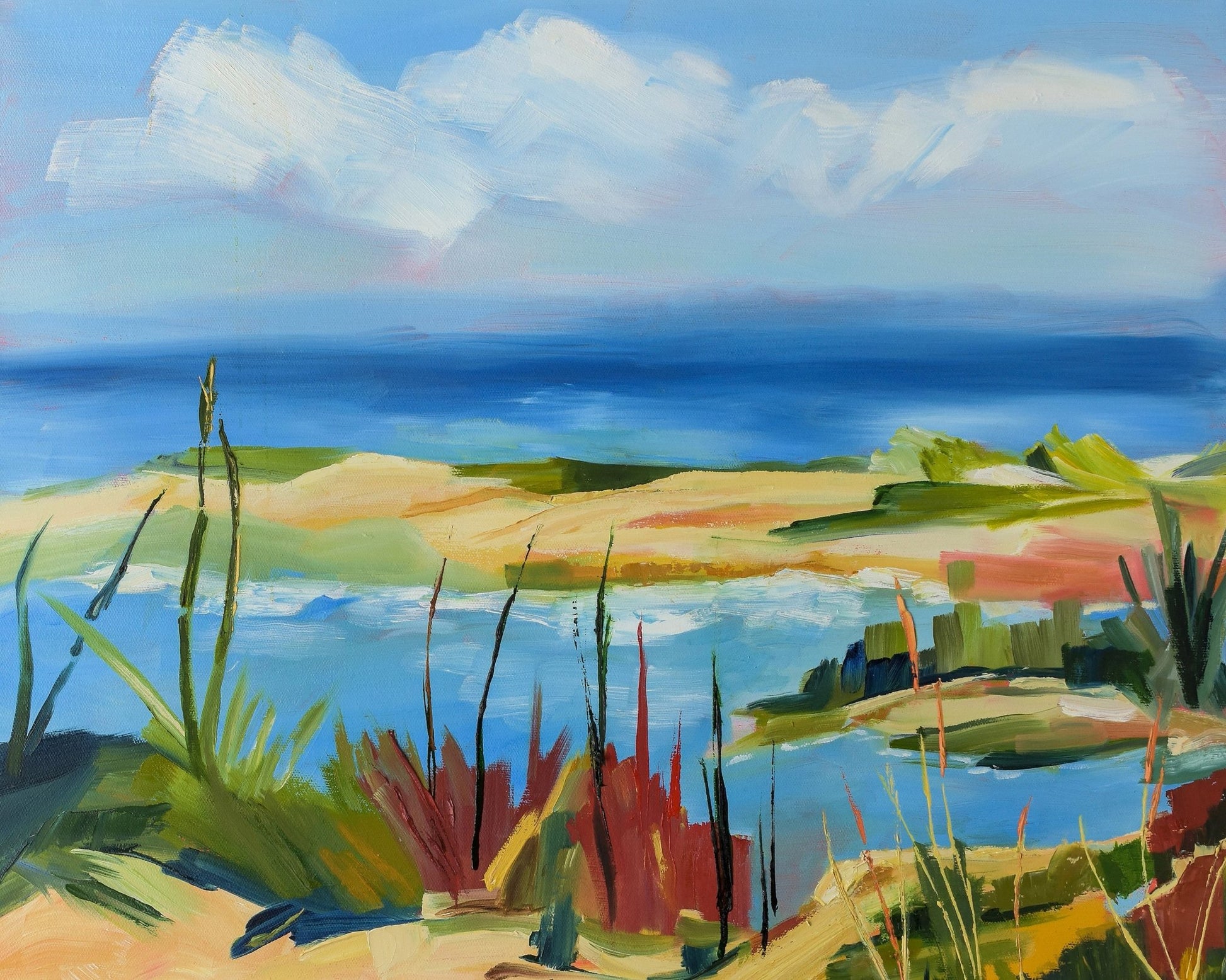 Coastal Marsh View