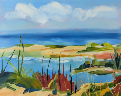 Coastal Marsh View