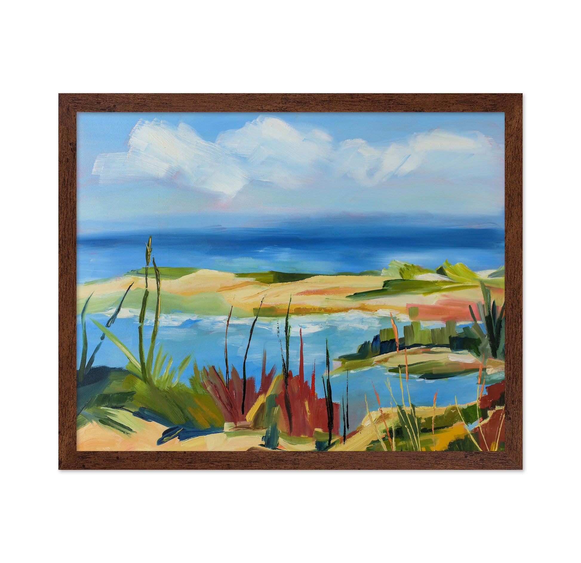 Coastal Marsh View