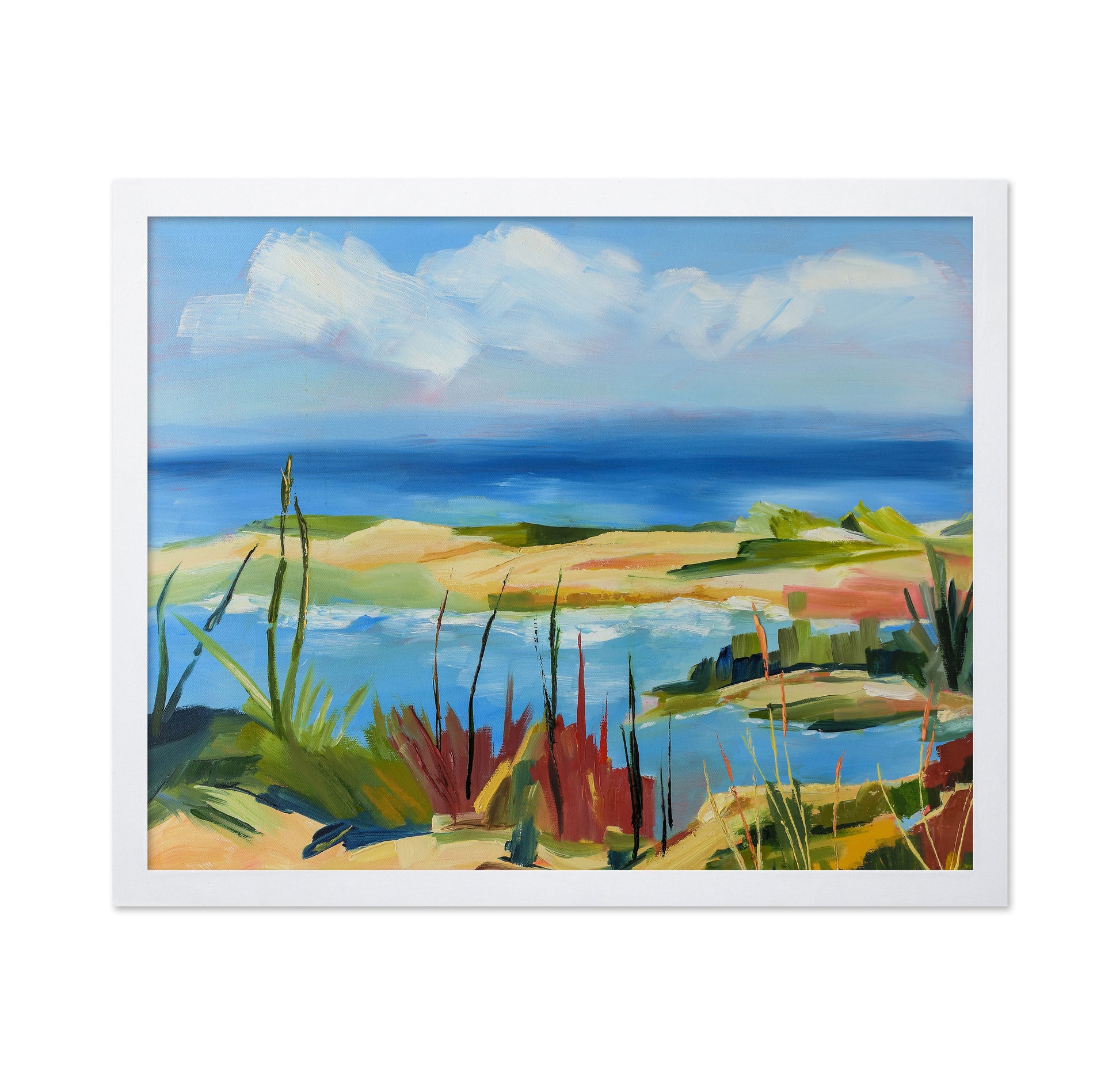 Coastal Marsh View