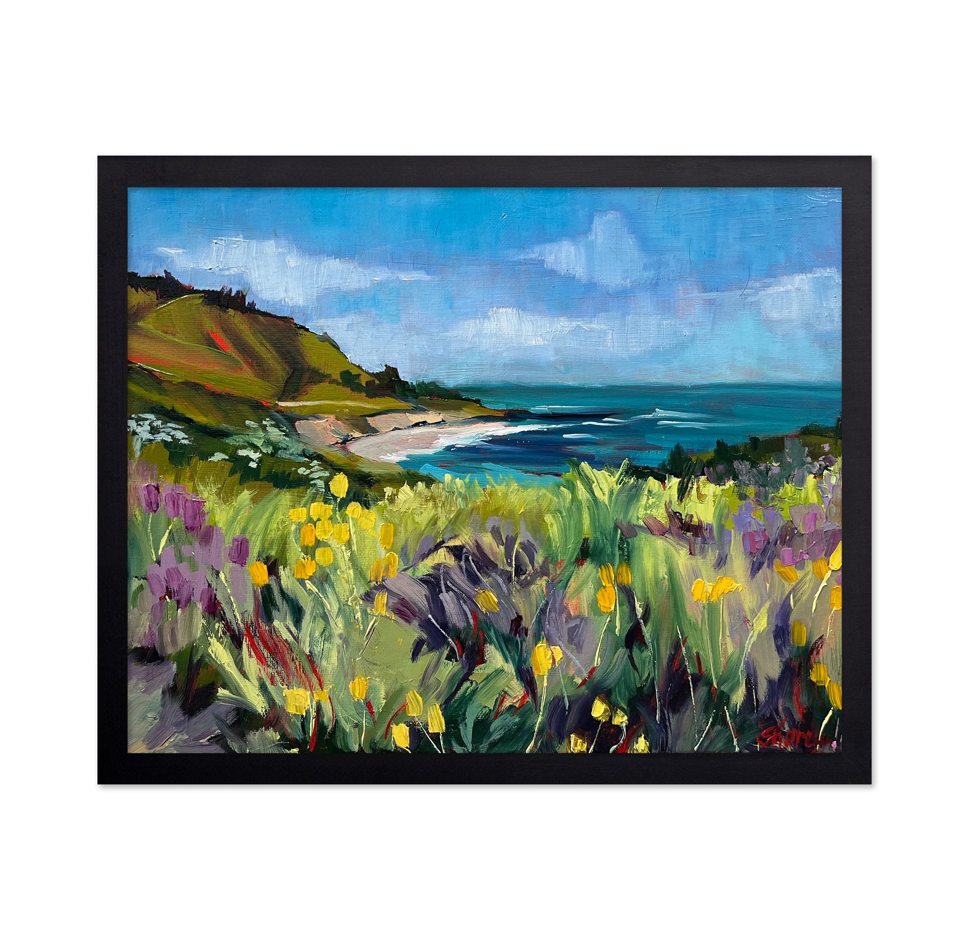 Pacific Coastal Bloom