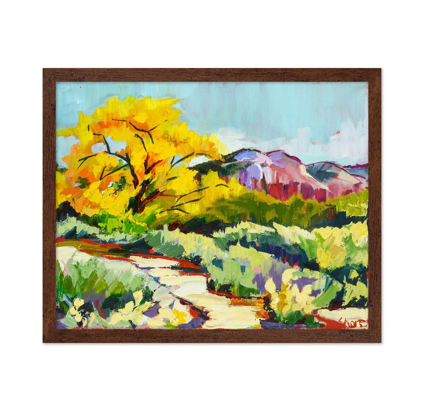 Desert Trail Glow