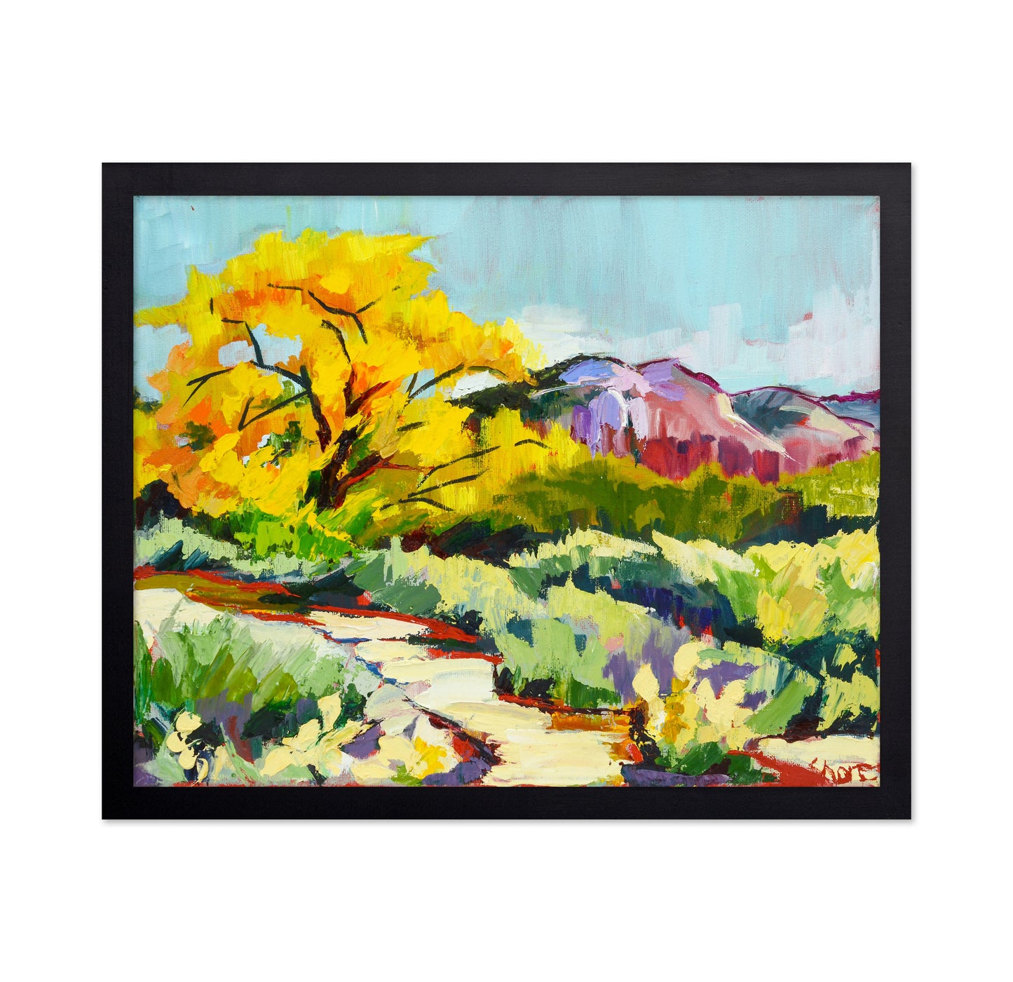 Desert Trail Glow