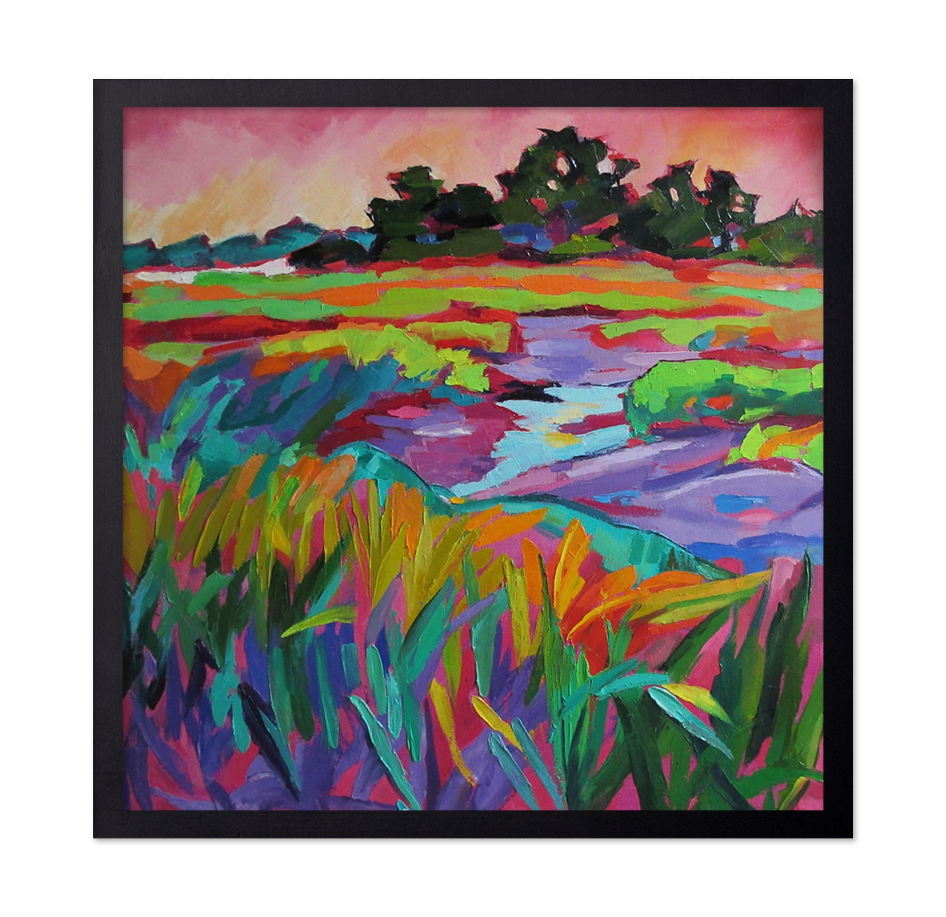 Marsh Color Fields