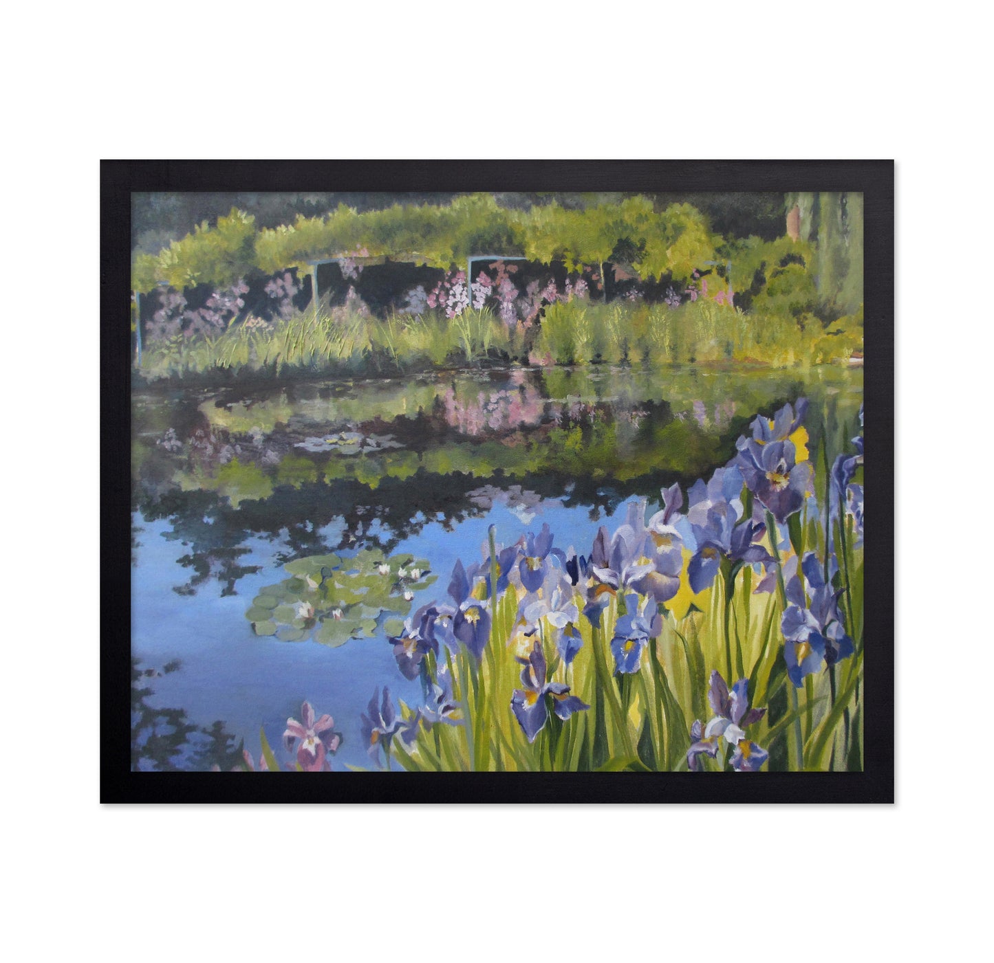 Garden Pond Reflections