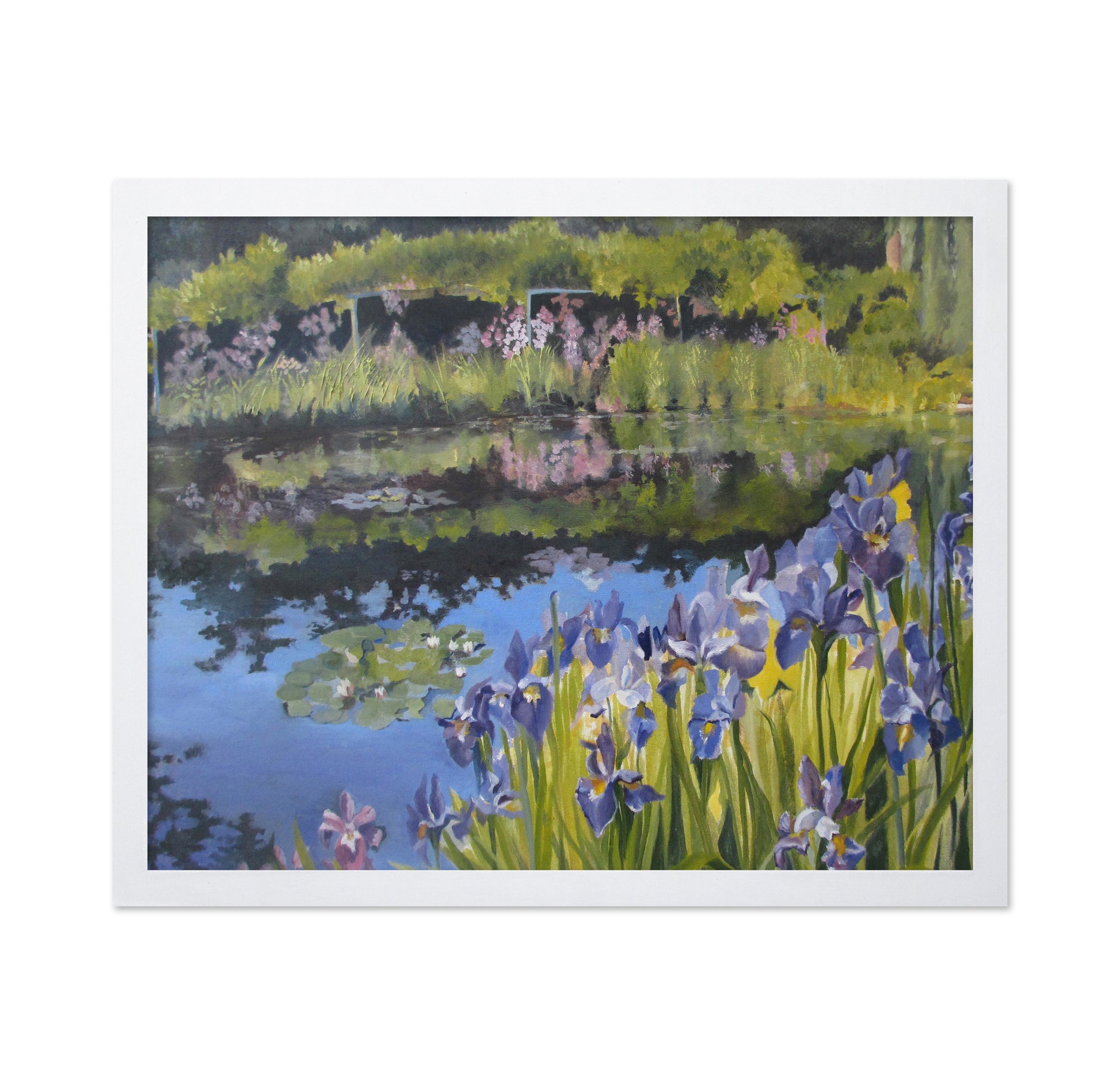Garden Pond Reflections