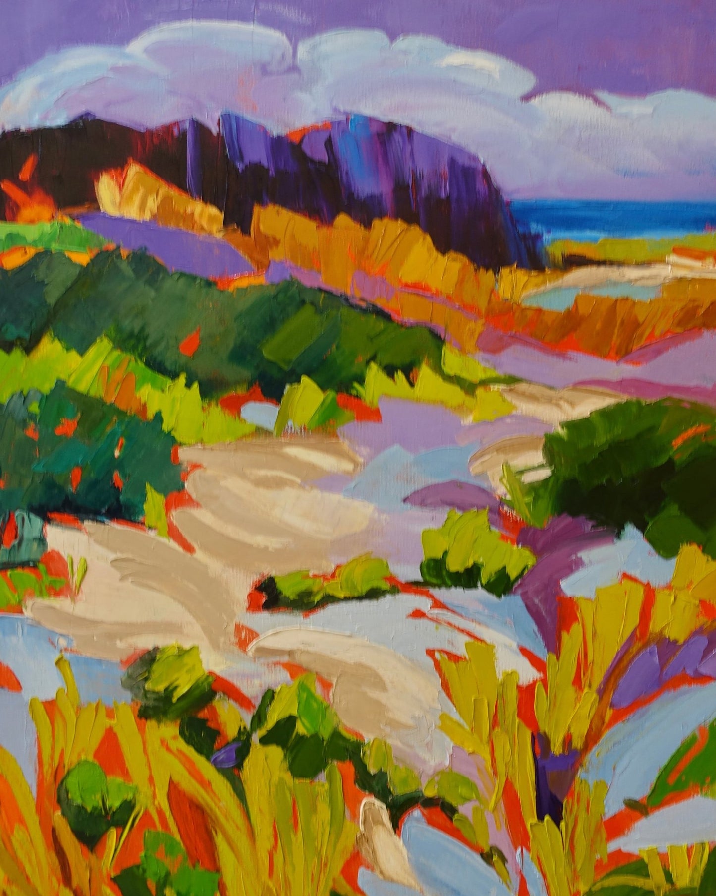Colorful Coastal Dunes