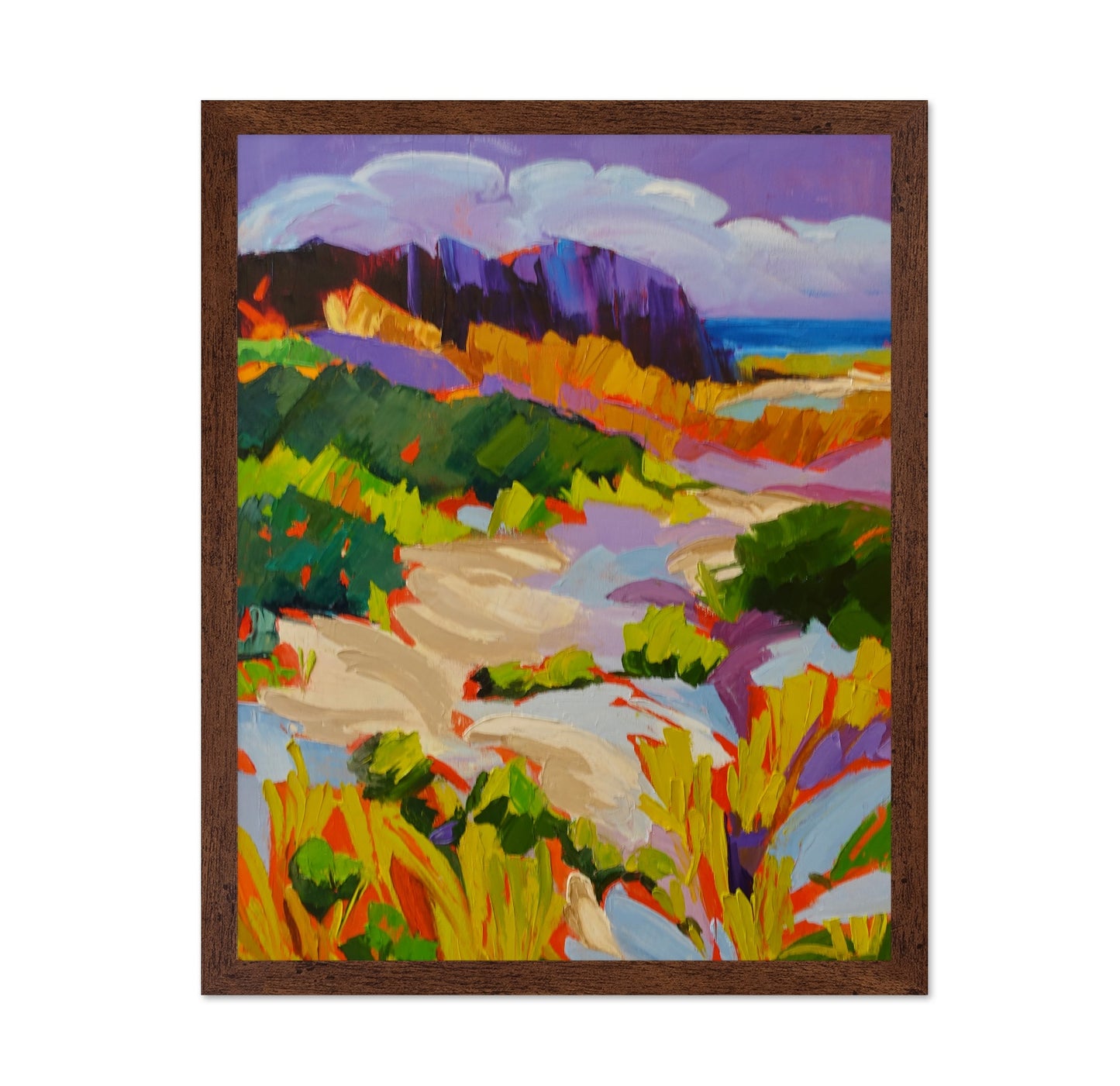 Colorful Coastal Dunes