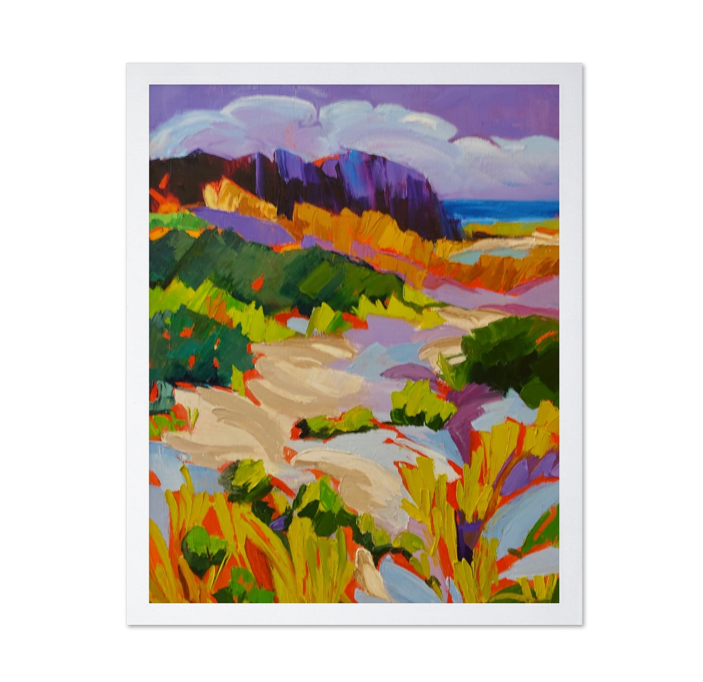 Colorful Coastal Dunes