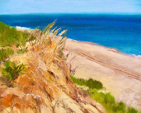 Coastal Dune Escape