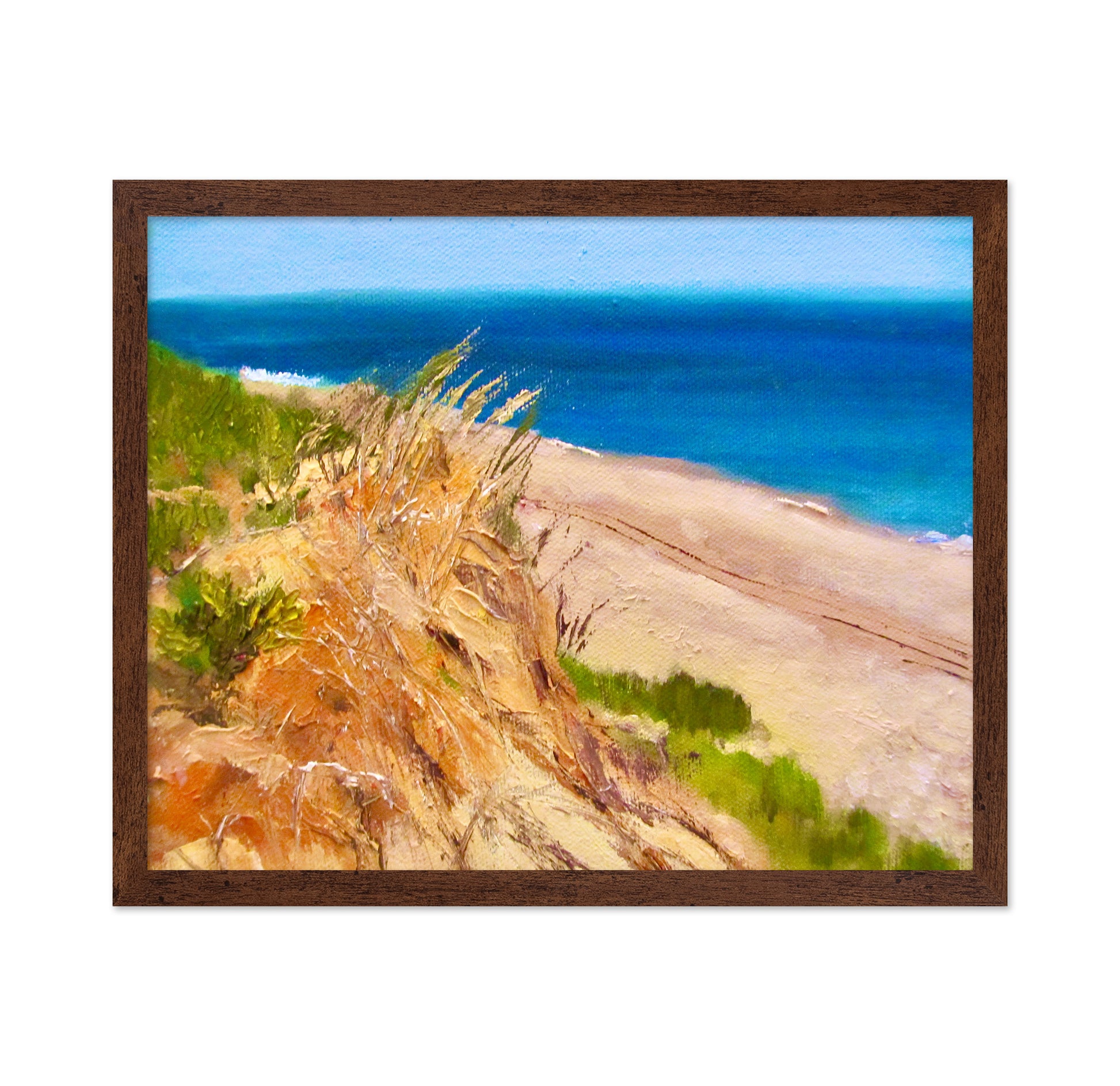 Coastal Dune Escape