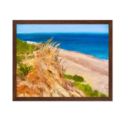 Coastal Dune Escape