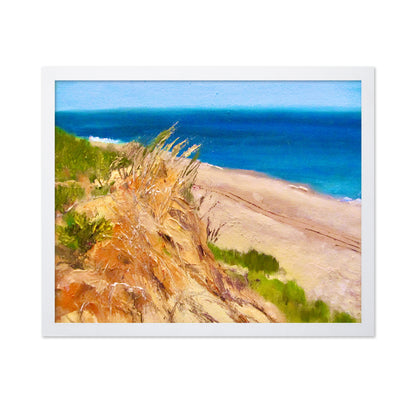 Coastal Dune Escape