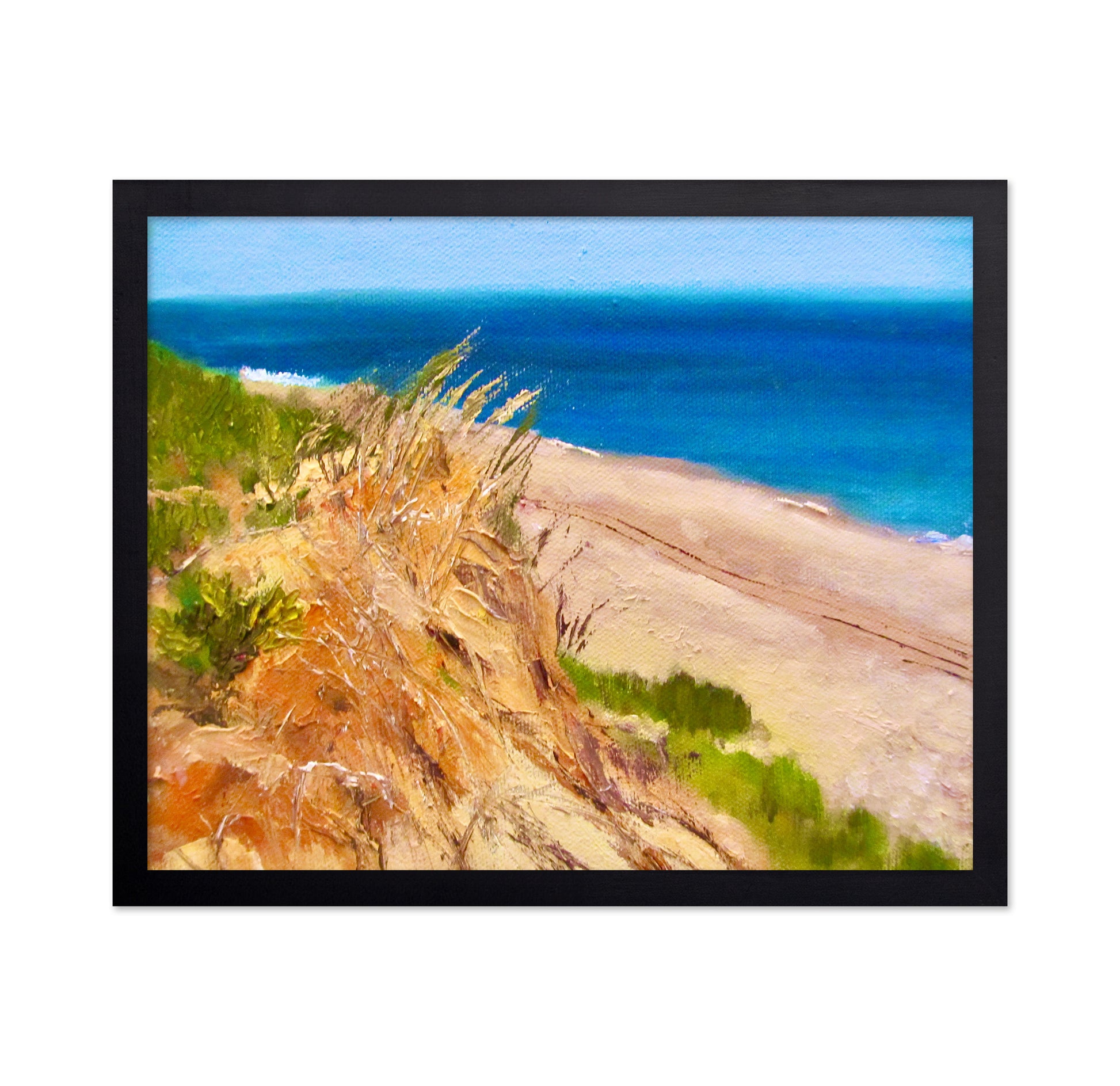 Coastal Dune Escape