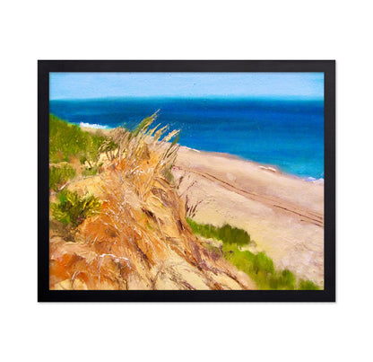 Coastal Dune Escape