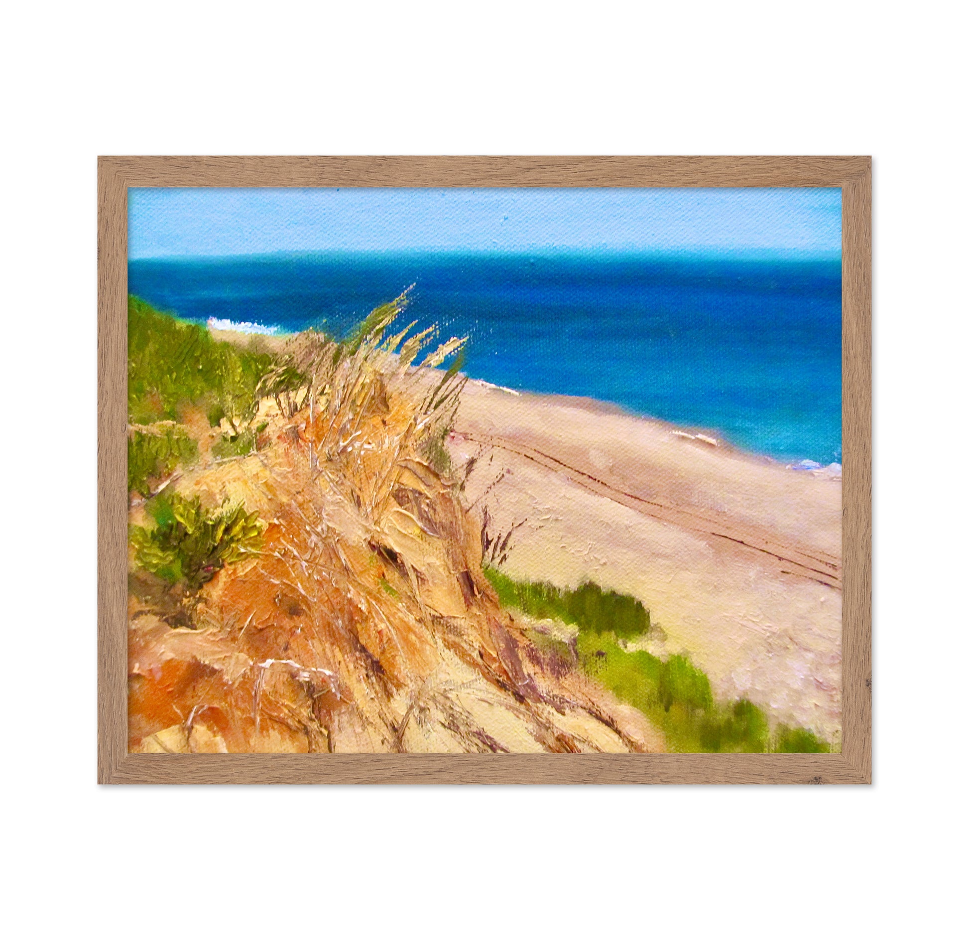 Coastal Dune Escape