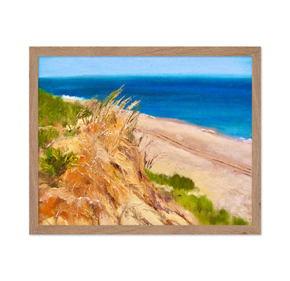Coastal Dune Escape