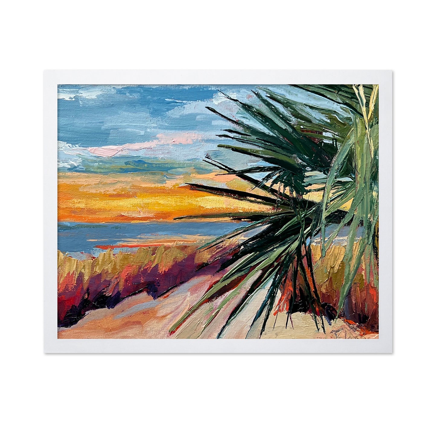 Coastal Palm Sunset
