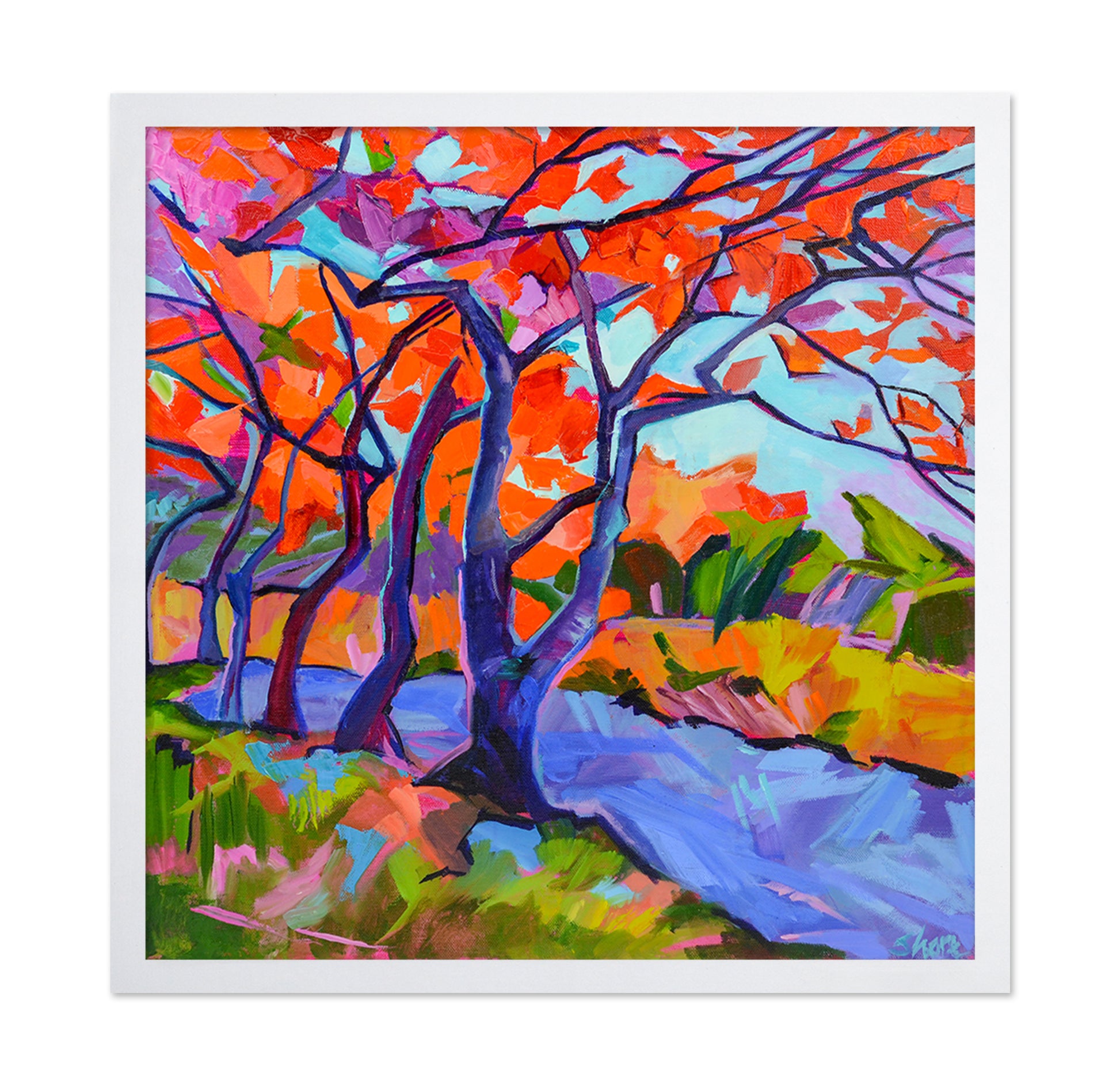 Autumn River Trees