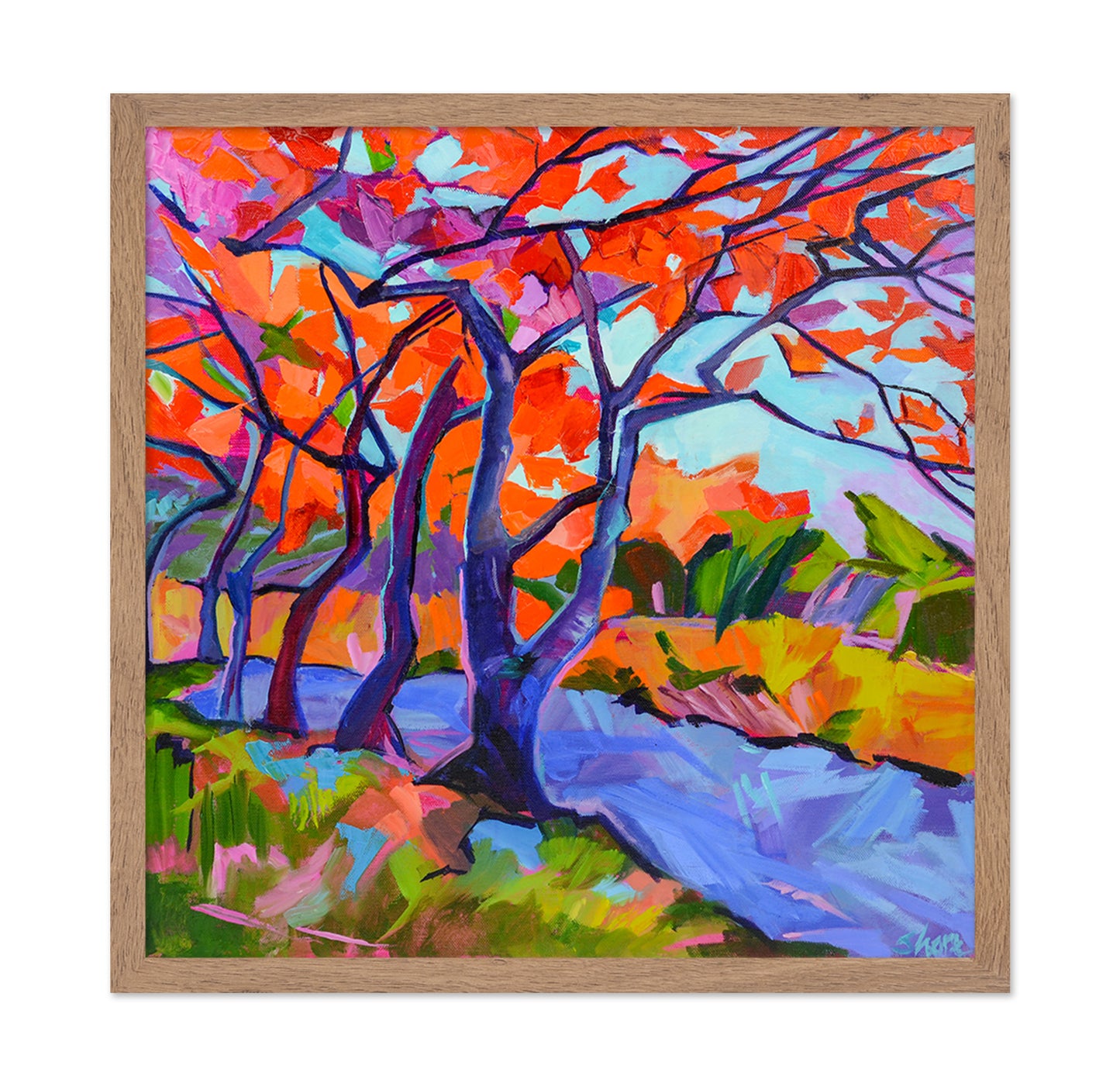 Autumn River Trees
