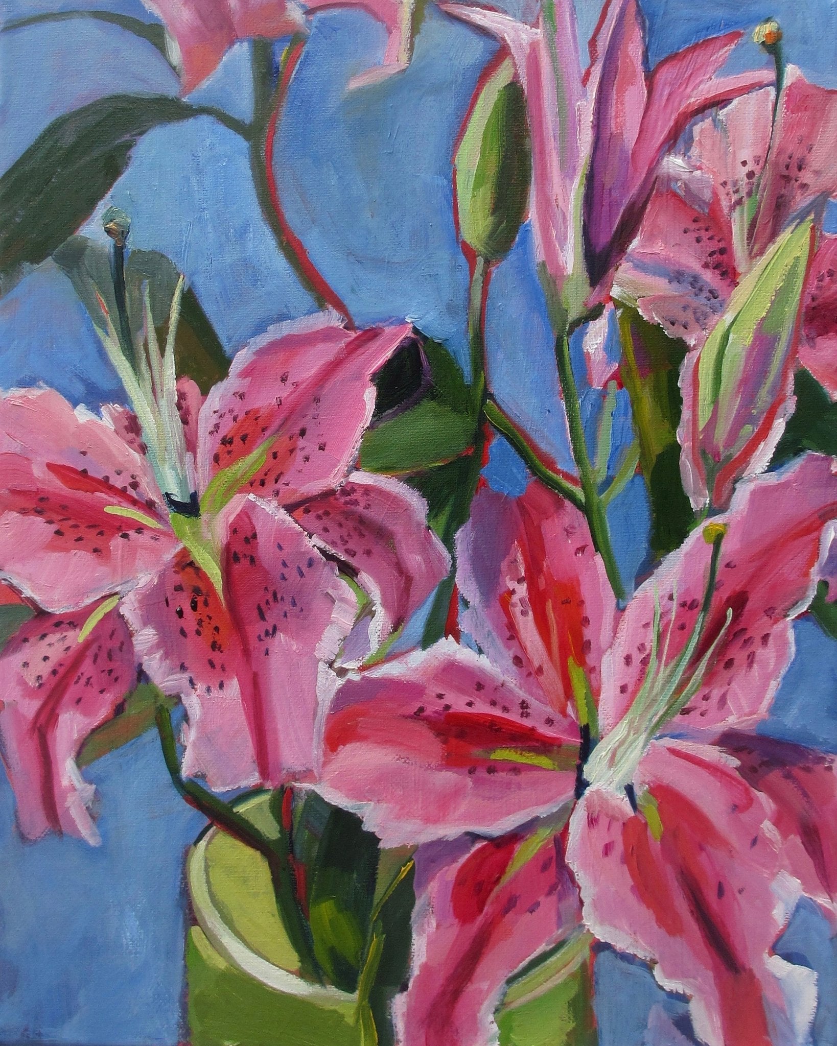 Pink Lily Bloom
