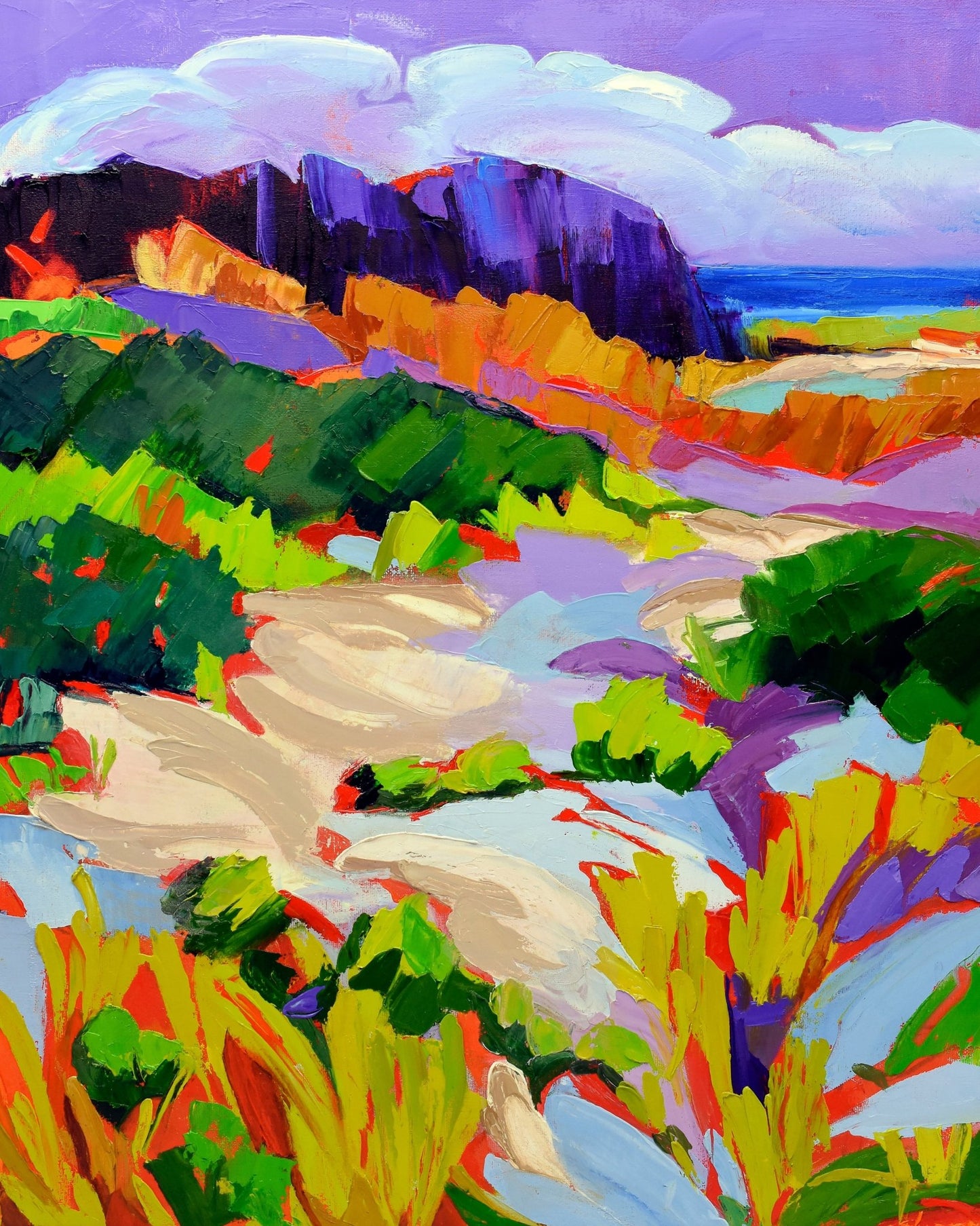 Coastal Dune Colors