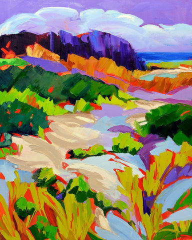 Coastal Dune Colors