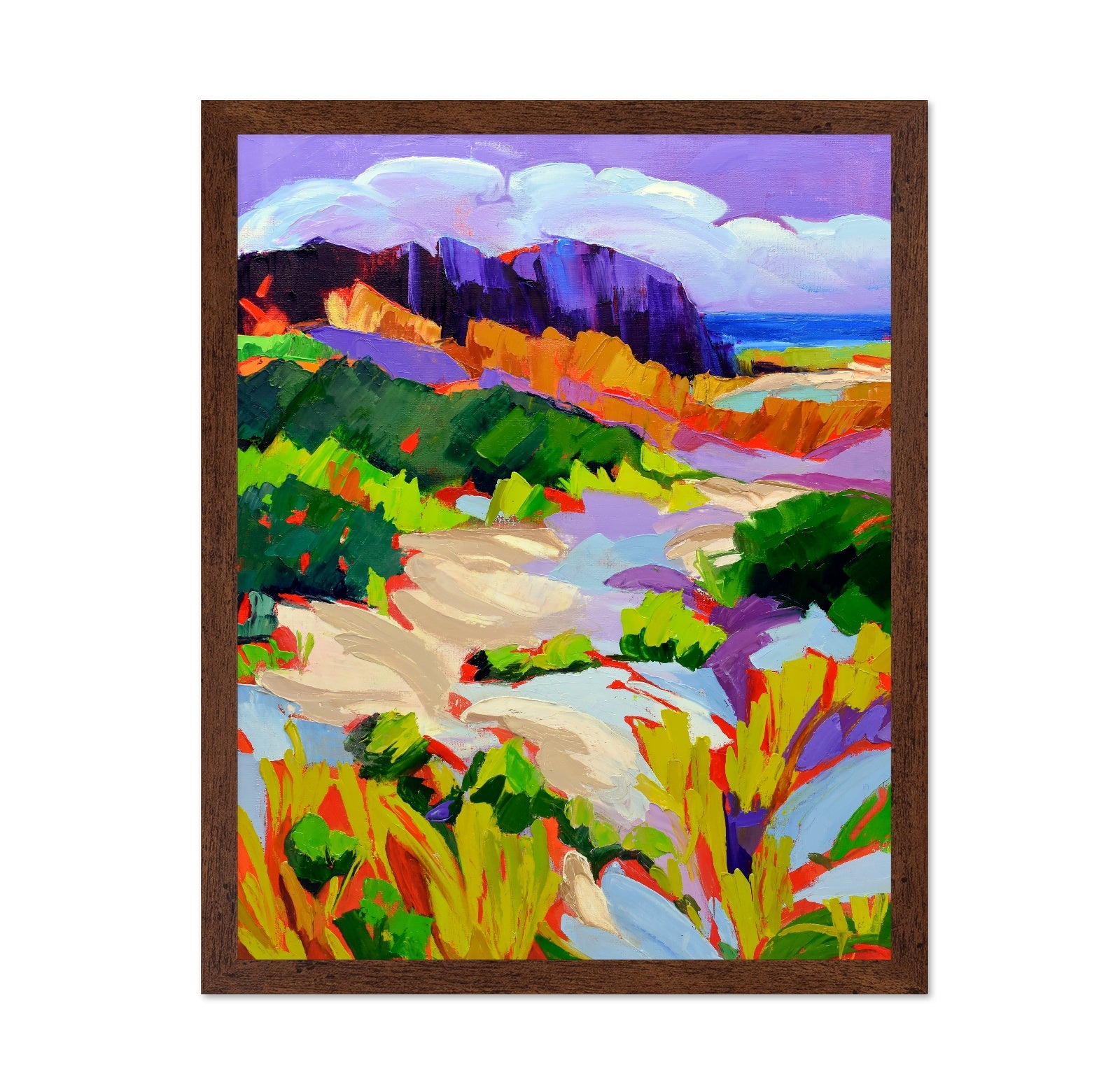 Coastal Dune Colors