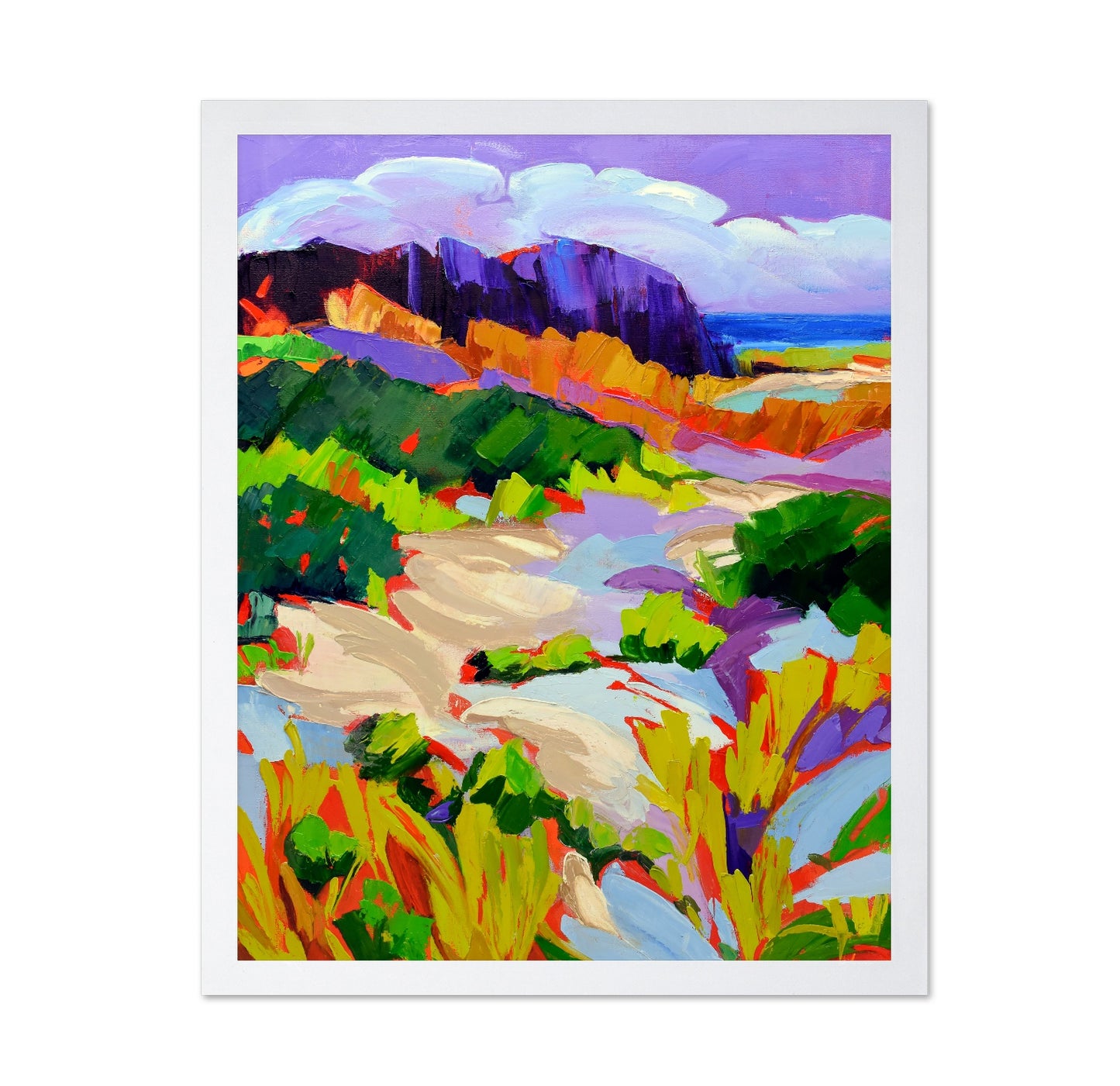 Coastal Dune Colors