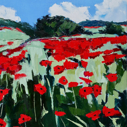 Red Poppy Field
